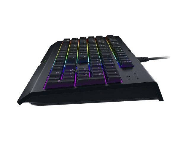 RAZER Cynosa Chroma RZ03-02260100-R3M1 - 390454 - zdjęcie 4